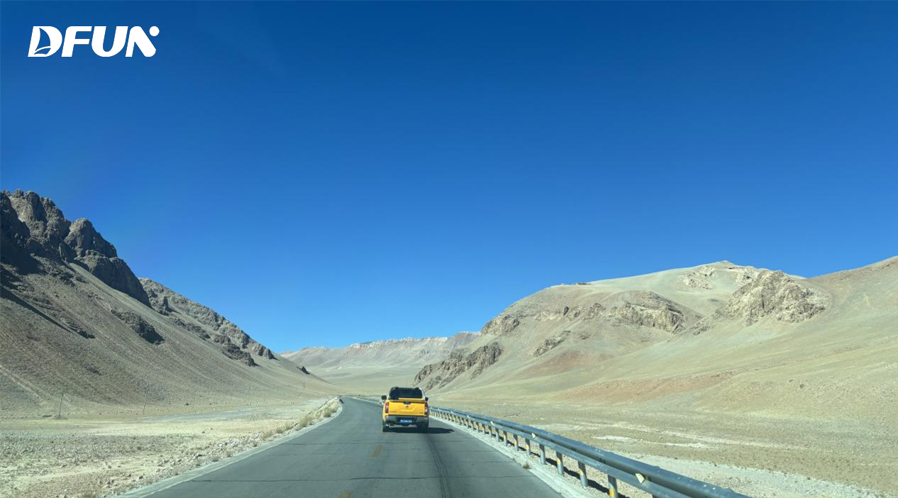 DFUN Remote Battery Capacity Tester